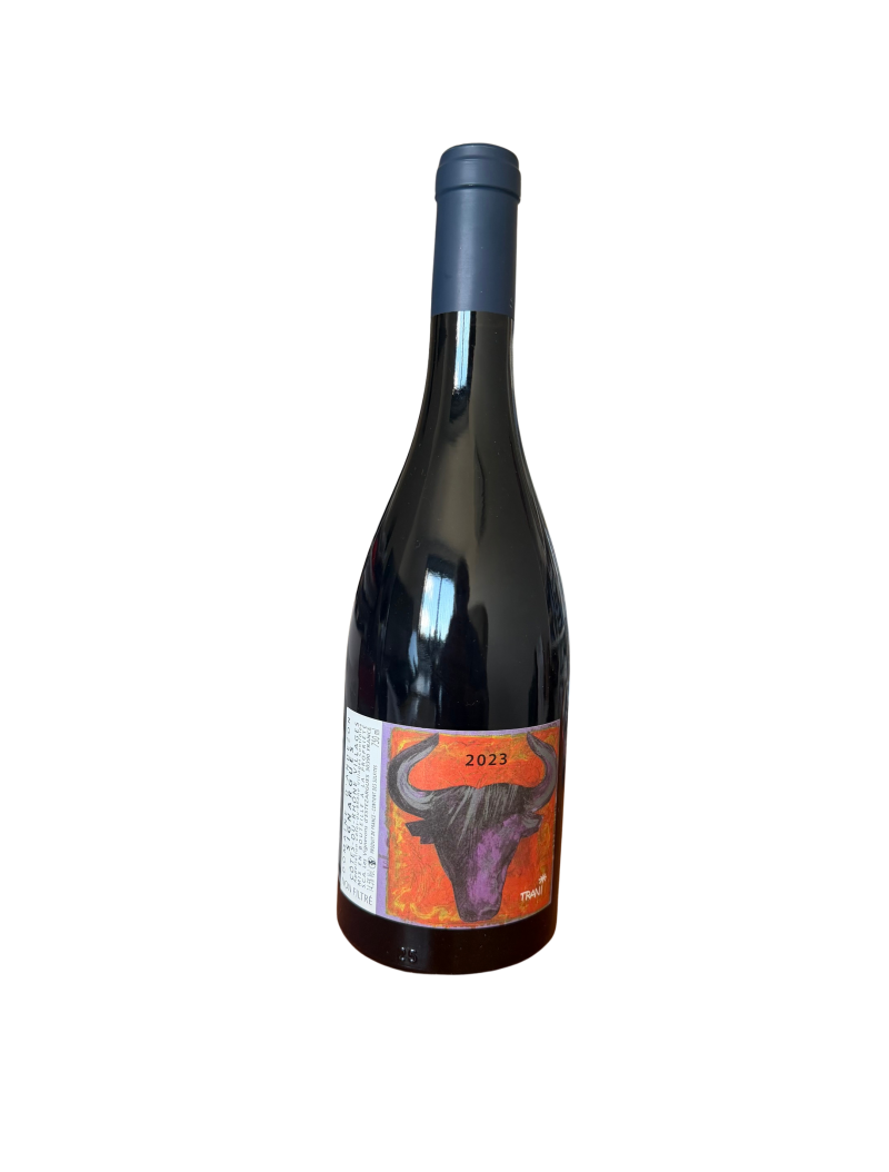 Domaine d’Andézon – Côtes-du-Rhône Rouge 2023